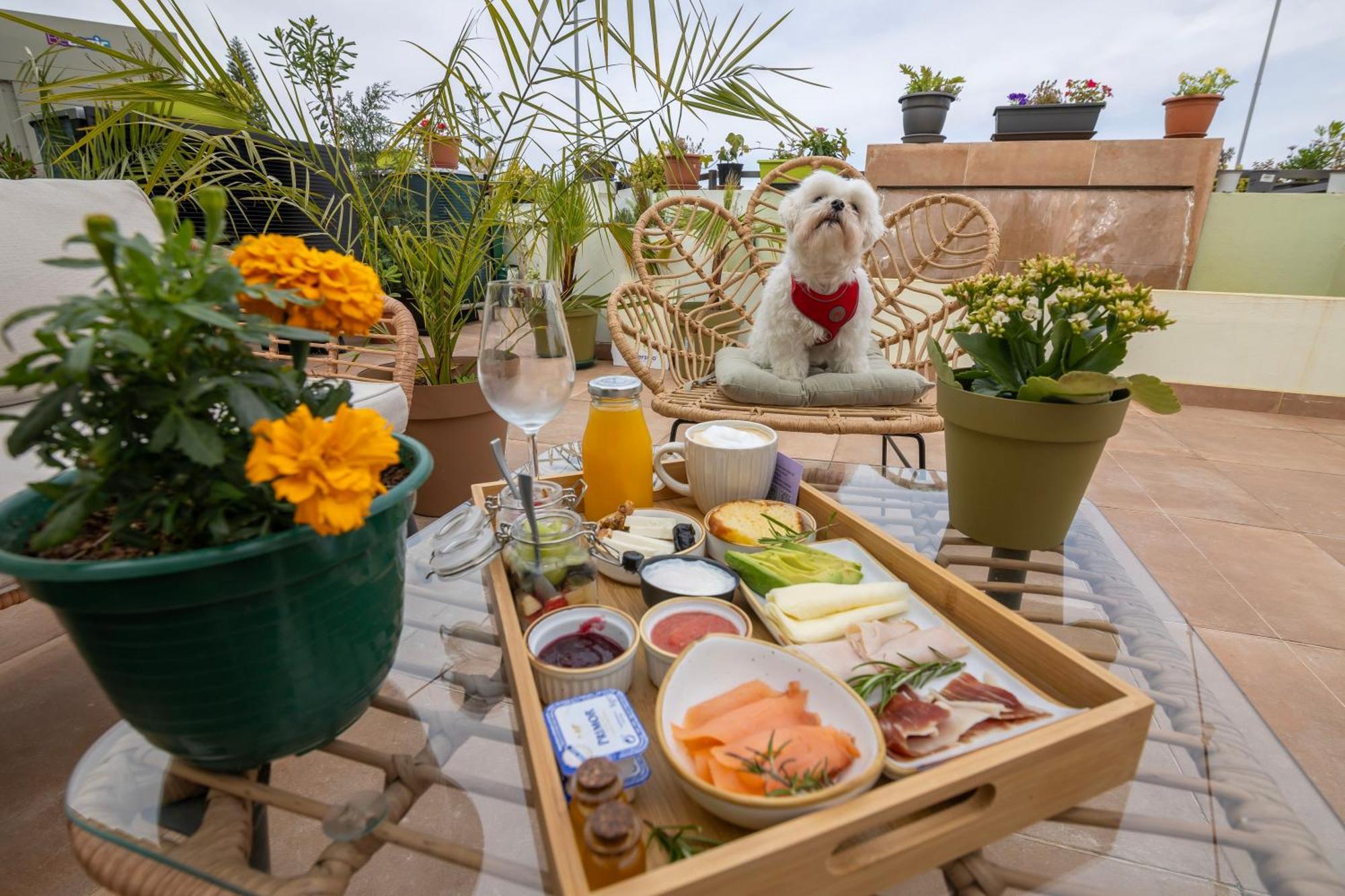 Growersgo Boutique Hostel 韦尔瓦 外观 照片
